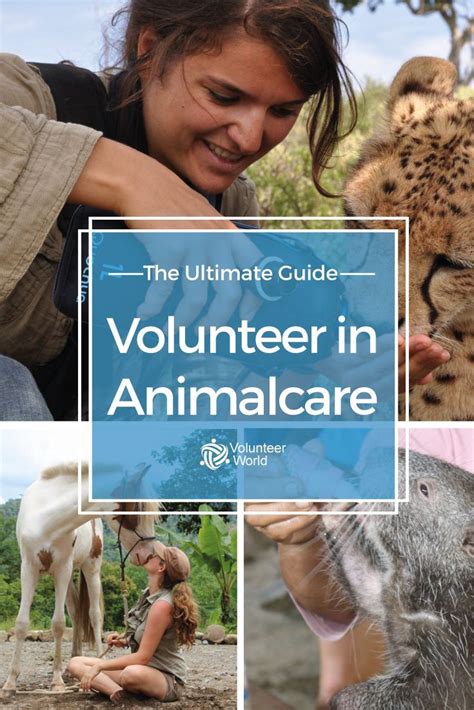 volunteer with animals abroad free.